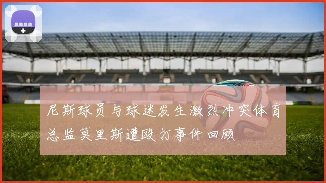 尼斯球员与球迷发生激烈冲突体育总监莫里斯遭殴打事件回顾