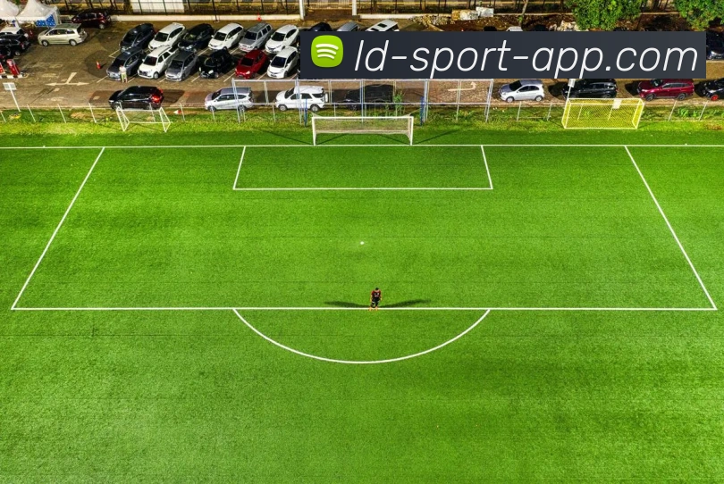 乐动体育APP 高清赛事图