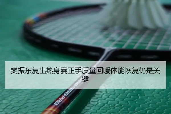 樊振东复出热身赛正手质量回暖体能恢复仍是关键
